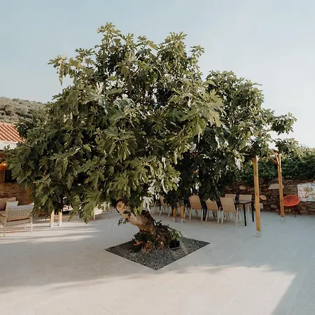 Valadouro Dona Adelaide With A Pool Villa Espinhosa
