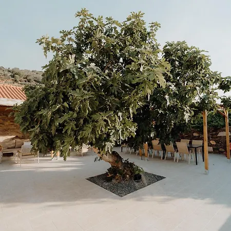 Valadouro Dona Adelaide With A Pool *